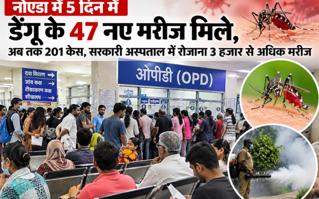 नोएडा में 5 दिन में डेंगू के 47 नए मरीज मिले, अब तक 201 केस